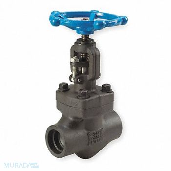 GRAINGER APPROVED Globe Valve 1-1/4 Steel Socket 1975 psi, 1PRN2