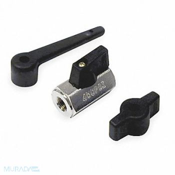 GRAINGER APPROVED Brass Ball Valve Inline FNPT 1/2 in, 1PZB1