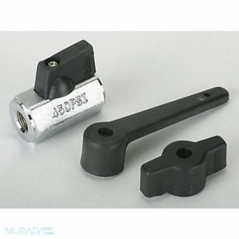 GRAINGER APPROVED Brass Ball Valve Inline FNPT 1/8 in, 1PZA7