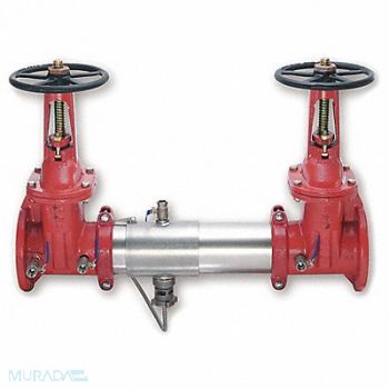 WATTS Reduced Pressure Zone Backflow Preventer, 1RCX3