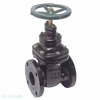 WATTS Gate Valve Class 200 4 In., 1RCY8
