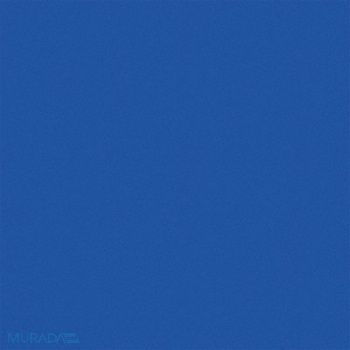 RUST-OLEUM H7187 DTM Protective Coating Safety Blue 1 gal, 21CJ99