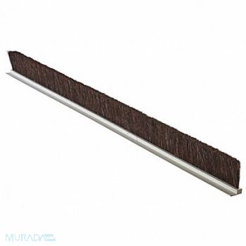 TANIS Stapled Set Strip Brush PVC Length 72 In, 1TCF3