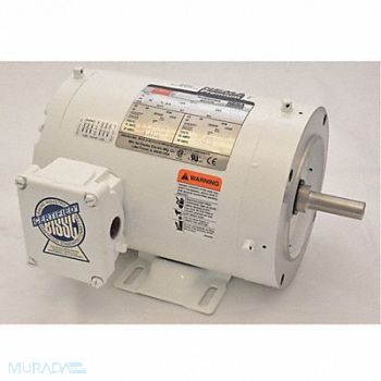 DAYTON Washdown Motor 1/2 HP 1750 56C 230/460V, 1TRZ3