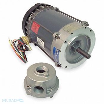 MARATHON MOTORS Motor 1 HP 3450 rpm 56C 230/460V, 407L99