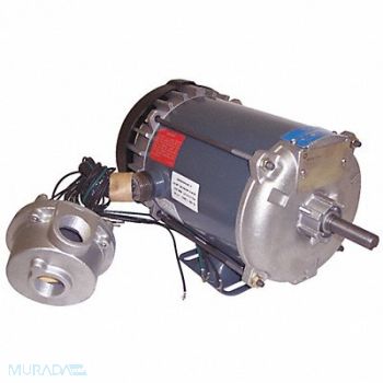 MARATHON MOTORS Motor 1 HP 1725 rpm 56H 208-230/460V, 407M09