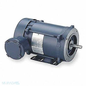 MARATHON MOTORS Motor 2 HP 1725 rpm 56C 230/460V, 407M14