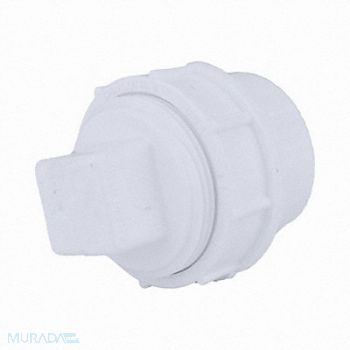 GRAINGER APPROVED Adapter with Plug Schedule 40 1 1/2 in, 1WKR6