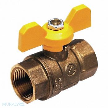 GRAINGER APPROVED Ball Valve T-Handle FNPT 1 in, 1WMH2
