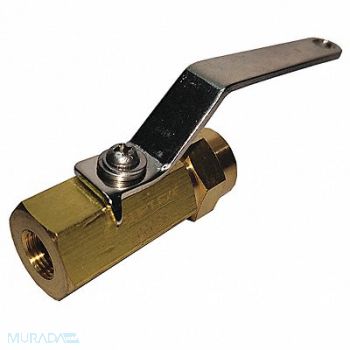 GRAINGER APPROVED Brass Ball Valve Inline FNPT 1/4 in, 1WML6