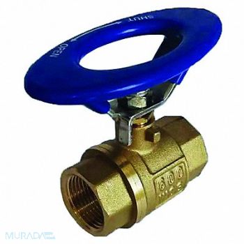 GRAINGER APPROVED Ball Valve 1 FNPT x FNPT Brass, 1WMP8