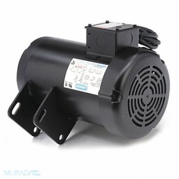 LEESON Motor 3 HP 3450 rpm 145Y 230V, 1XEN1