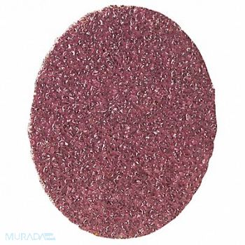 NORTON Quick-Change Sand Disc 2 in Dia TR PK100, 1YFH6