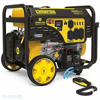 CHAMPION POWER EQUIPMENT Portable Generator 12 000 W 120V/240V, 801W78