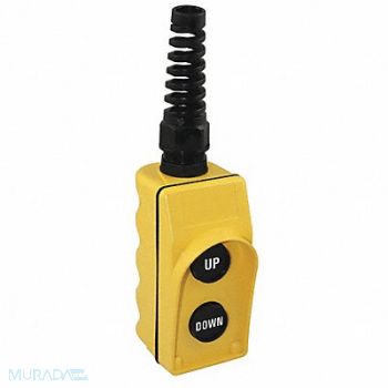 DAYTON Pendant Station 2NO Yellow, 20C812