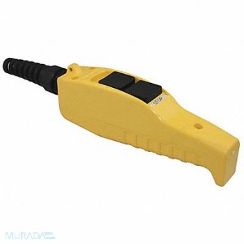 DAYTON Pendant Station NEMA 4X 2NO, 20C814