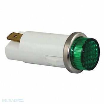 GRAINGER APPROVED Raised Indicator Light Green 120V, 20C852