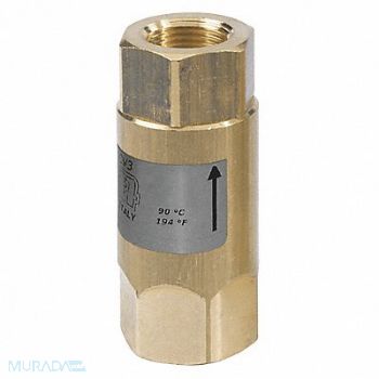 MECLINE Spring Check Valve Brass Buna SS 1/2, 20FV61