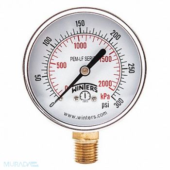 WINTERS J1380 Gauge Pressure 0 to 300 psi 2-1/2 in, 20JN32