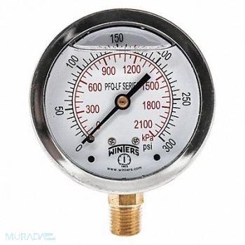 WINTERS J1382 Gauge Pressure 0 to 300 psi 2-1/2 in, 20JN48