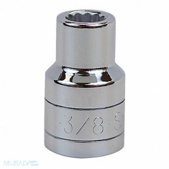 SK PROFESSIONAL TOOLS Socket Steel Chrome 3/8 in, 20K550
