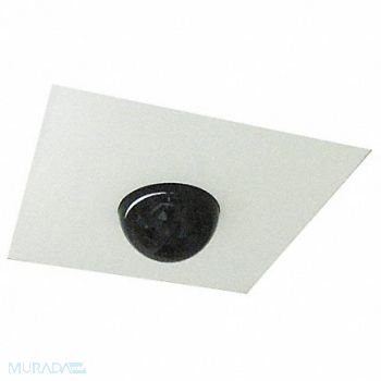 GRAINGER APPROVED Dummy Dome/Ceiling Panel 8 dia., 20LP37