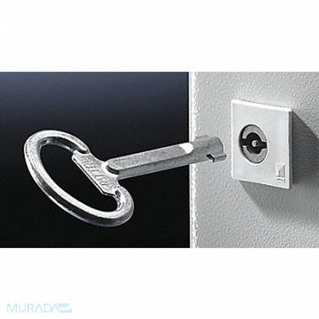 RITTAL Enclosure Key Double-Bit No 5 Matte, 20RF01