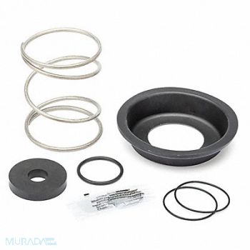 ZURN WILKINS Repair Kit 2-1/2 to 6, 20RJ46