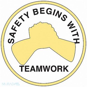 BRADY Hard Hat Emblem Labl 2in. Dia Vinyl PK4, 20RY66