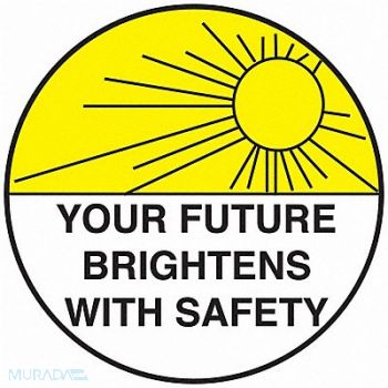 BRADY Hard Hat Emblem Label 2in. Dia Vinyl, 20RY71