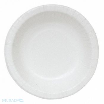 GRAINGER APPROVED Disposable Paper Plate 10 in White PK250, 20VG86