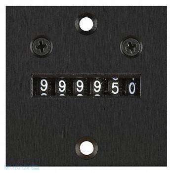 ENM Counter 6 Digit Panel Mount 24VDC, 20XG40