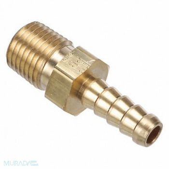 PARKER Barb Connector SS Hose BarbxM 1/2In, 20YY95