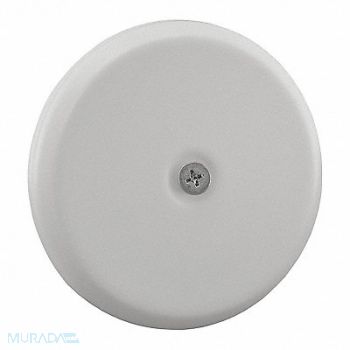JONES STEPHENS Cleanout Cover Plate White Flat 7-1/4, 217N08