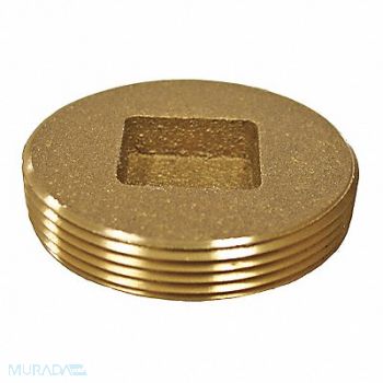 JONES STEPHENS Sou Code Csk Brass Plug 2, 217N46