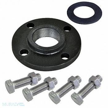 DAYTON Booster Pump Flange Kit 1-1/4 in NPT CI, 21R870