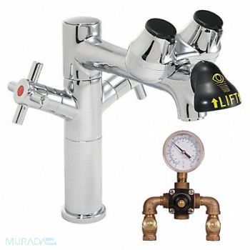 SPEAKMAN Eye/Face Wash Station Counter Chrome, 21YG79