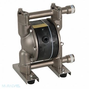 DAYTON DblDiaphPmp FNPT TPV/316 SStl 1/4 14gpm, 22A597