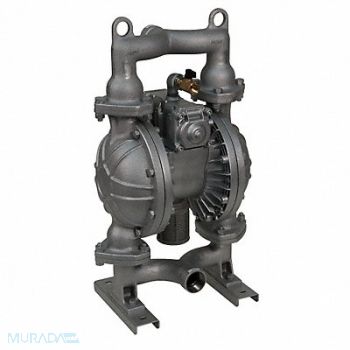 DAYTON Dbl Diaphragm Pump FNPT TPV 3/4in 164gpm, 22A599
