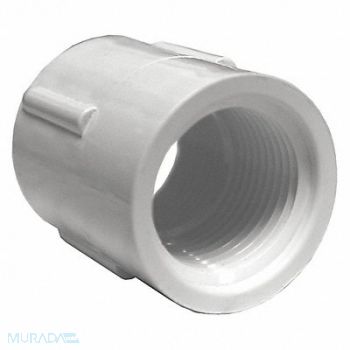 GRAINGER APPROVED Coupling 3/4 in Schedule 40 FNPT White, 22FJ52