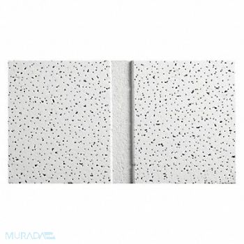 ARMSTRONG Ceiling Tile 48 in L 24 in W PK10, 22XJ42