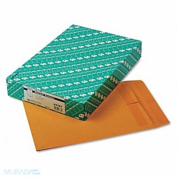 QUALITY PARK Catalog Envelopes 10 H 13 W PK100, 23K993