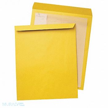 QUALITY PARK Catalog Envlps 12-1/2 H 18-1/2 W PK25, 23K997