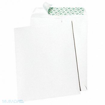 QUALITY PARK No-Tear Envelopes 9 H 12 W PK100, 23L106