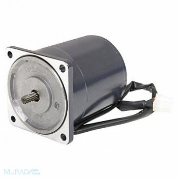 DAYTON DC Motor PM TENV 1/30 HP 2850 rpm 24VDC, 23L377