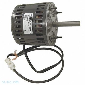 ACME Motor, 23TF89