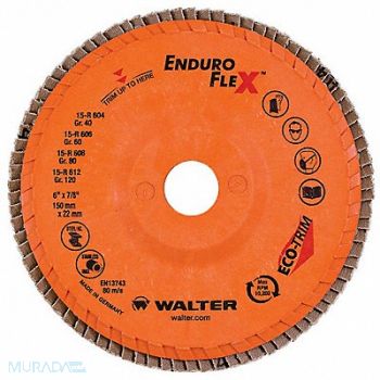 WALTER SURFACE TECHNOLOGIES Fiber Disc 6 in Dia 7/8in Arbor 80 Grit, 249M30