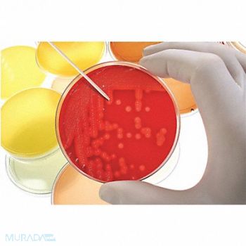 HEATHROW SCIENTIFIC Test Tube Rack Polypropylene Blue, 24EN48