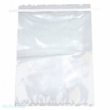LAB SAFETY SUPPLY Sample Bag 100 oz PK250, 24J936