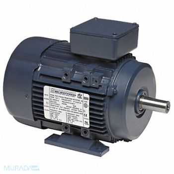 MARATHON MOTORS GP Motor 100 HP 1 190 RPM 230/460V 315S, 55AZ20